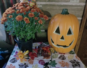 My Gift from the neighbors